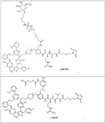 Figure imgf000090_0001