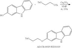 Figure US08318132-20121127-C00119