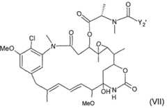 Figure imgf000027_0001