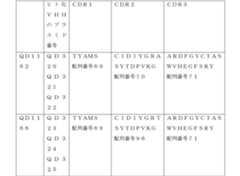 Figure 0007463000000006