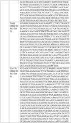 Figure BDA0004033970230005881