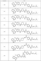 Figure FDA0002202730300000061