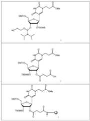 Figure imgf000047_0001