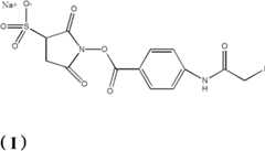 Figure BDA0000099619400000141