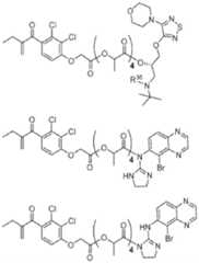 Figure BDA0002537542900001181