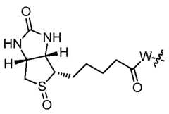 Figure imgf000033_0001