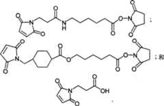 Figure A20048003970601991