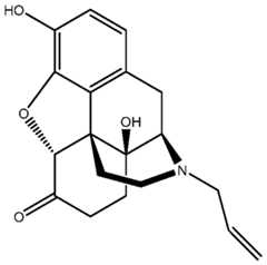 Figure imgf000007_0001