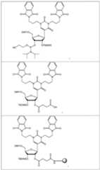 Figure imgf000050_0001