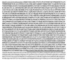 Figure imgf000082_0001