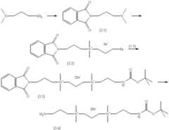 Figure US06348599-20020219-C00038