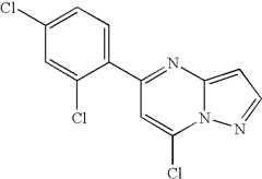 Figure US07119200-20061010-C00629