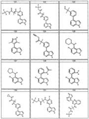 Figure imgf000039_0001