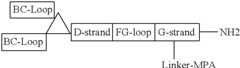 Figure US08907053-20141209-C00098