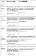 Figure BDA0004089703340001781