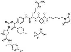 Figure BDA0004113777320002021