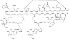 Figure G2007800458747D01641