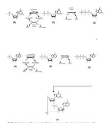 Figure imgf000035_0001