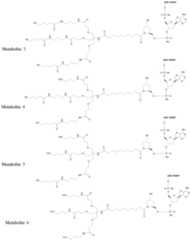 Figure imgf000171_0001