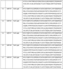 Figure imgf000168_0001