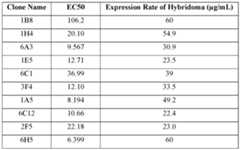 Figure imgf000051_0001