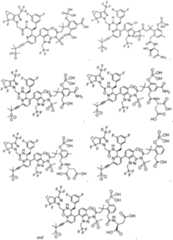 Figure imgf000062_0001