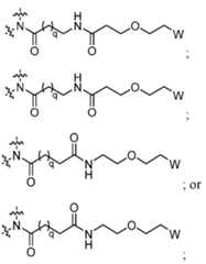 Figure imgf000003_0003
