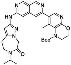 Figure BDA0002911816760001092