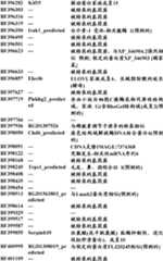 Figure BDA0000057170160001161