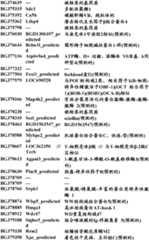 Figure BDA0000057170160001221