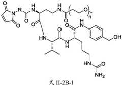 Figure FDA0003674984860000231