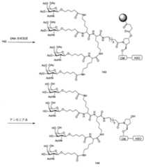 Figure 0007429103000314