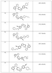 Figure 112010081398093-pct00107