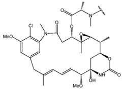 Figure imgf000011_0002