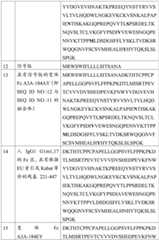 Figure BDA0002536620830000241