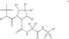 Figure US08309685-20121113-C00510