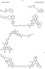 Figure imgf000118_0001