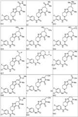 Figure BDA0003265543490000511