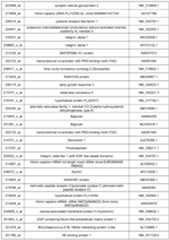 Figure imgf000076_0001