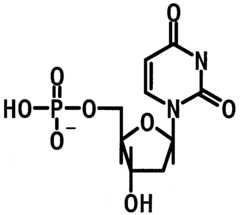 Figure imgf000014_0001