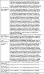 Figure BDA0004033970230004171