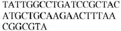 Figure imgb0486