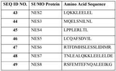 Figure imgf000028_0001