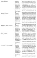 Figure imgf000230_0001