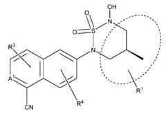 Figure imgf000011_0004