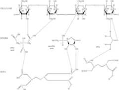 Figure US06461553-20021008-C00011