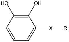 Figure imgf000006_0002