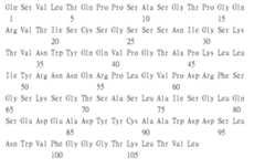 Figure 109115264-A0305-02-0217-40