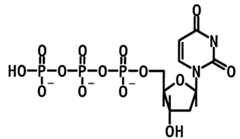Figure imgf000013_0001