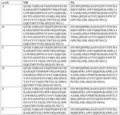Figure PCTCN2022116860-appb-000036